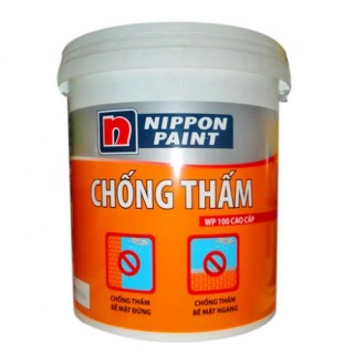 NP Chống thấm WP100 05Kg